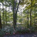 6 acres lot